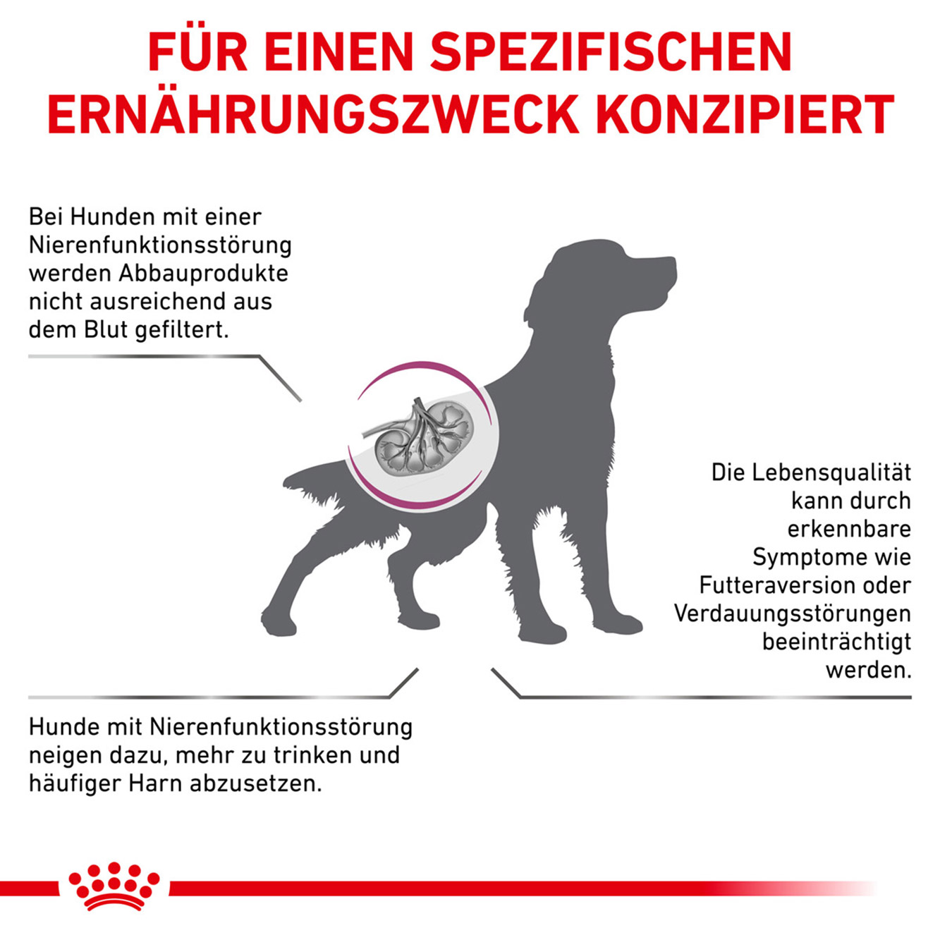 Royal Canin Hund Renal Select