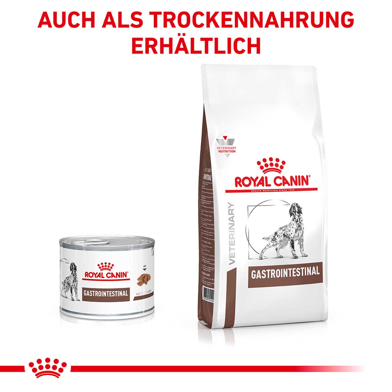 Royal Canin Hund GastroIntestinal 12x200g