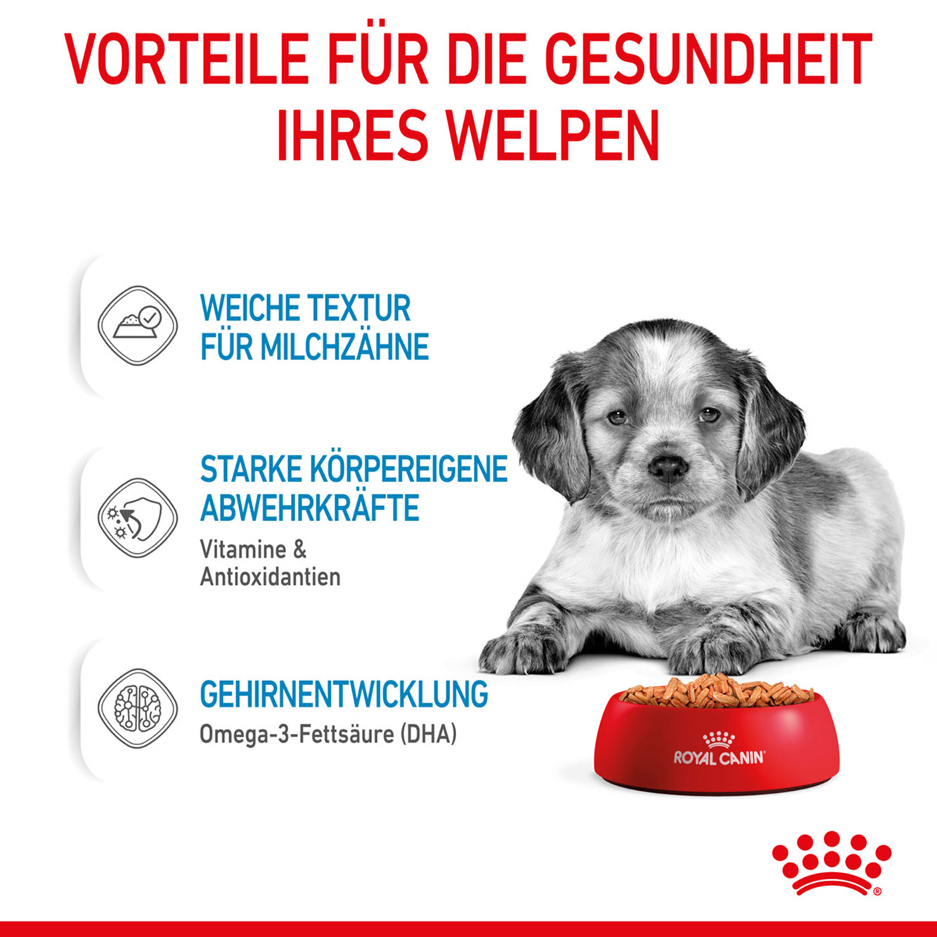 Royal Canin Hund Medium Puppy 10x140g