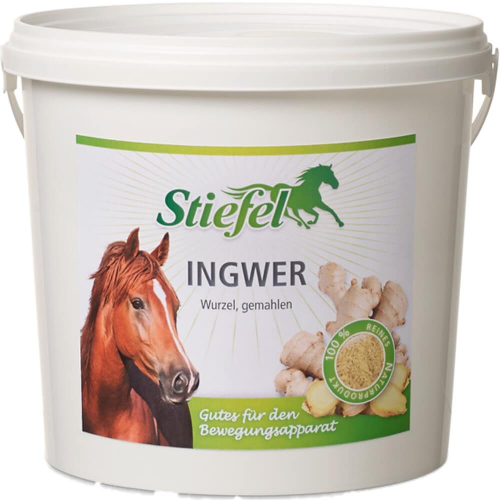 Stiefel Ingwer 1kg