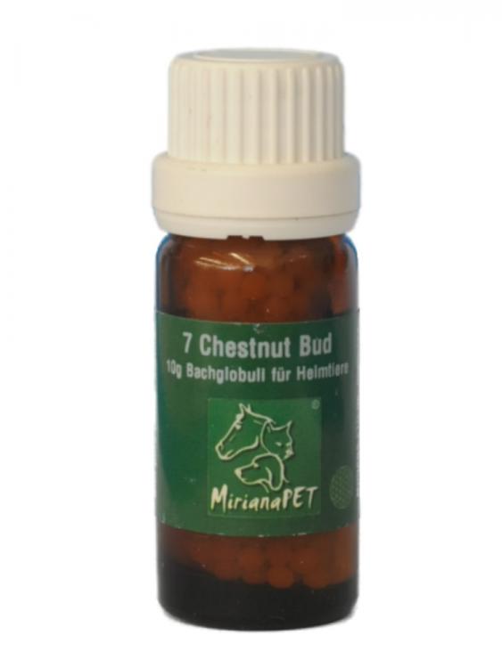 Bachblüten 7 Chestnut Bud Globuli 10g