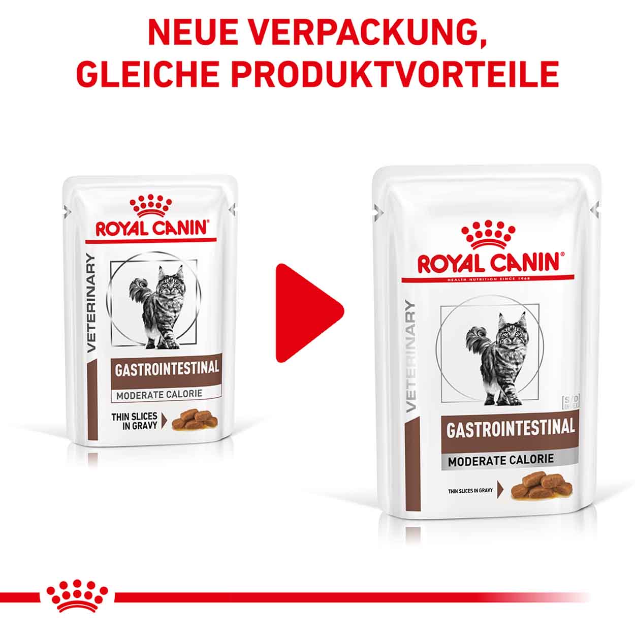 Royal Canin Katze GastroIntestinal mod calorie 12x85g