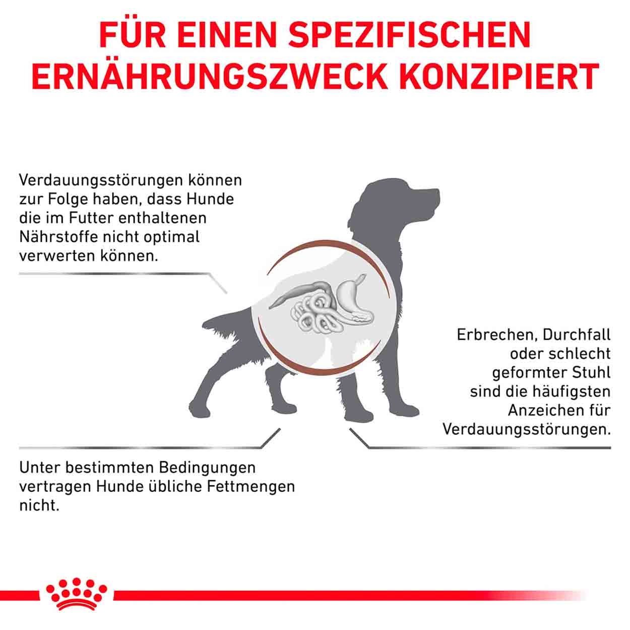 Royal Canin Hund GastroIntestinal low fat 12x200g