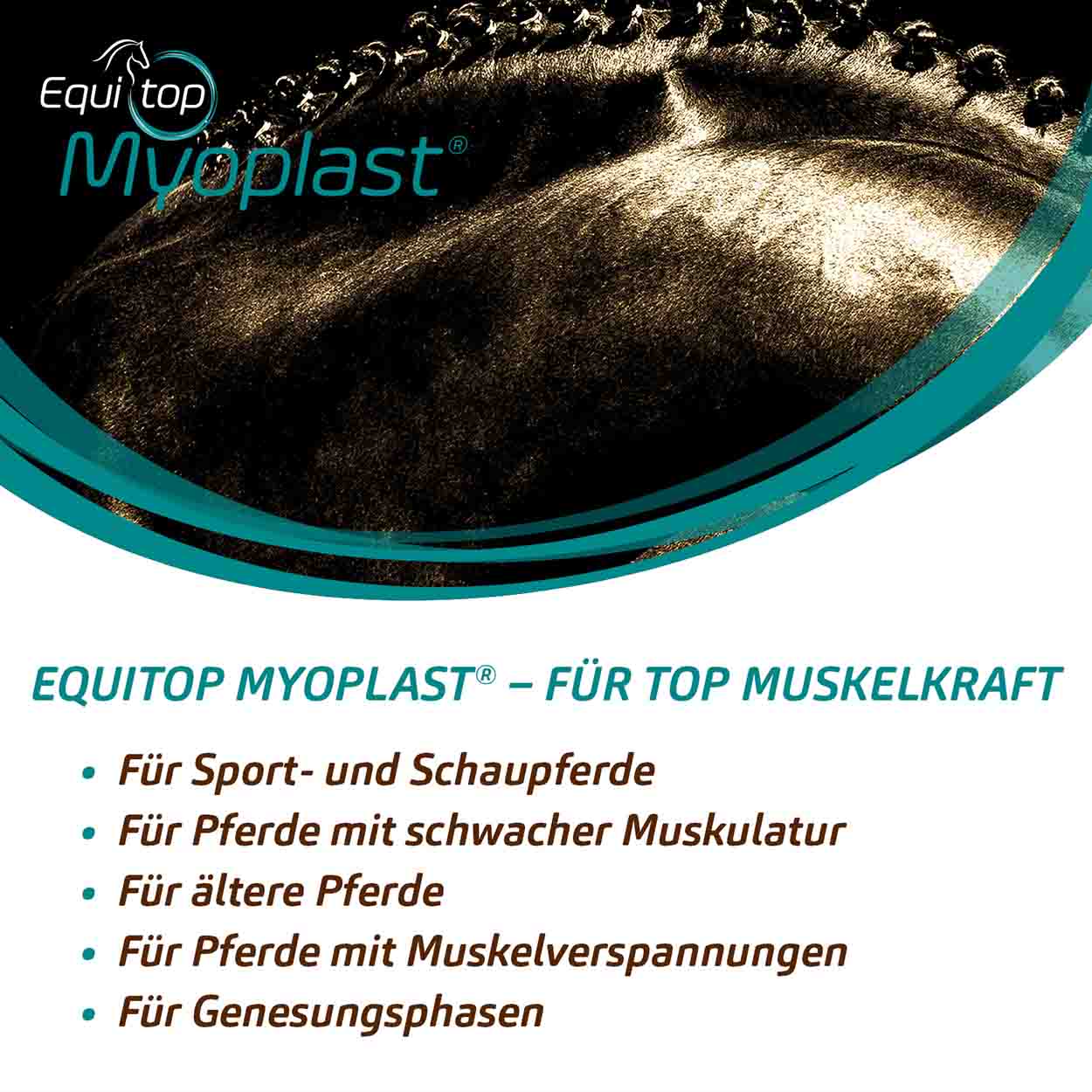 Equitop Myoplast 1500g