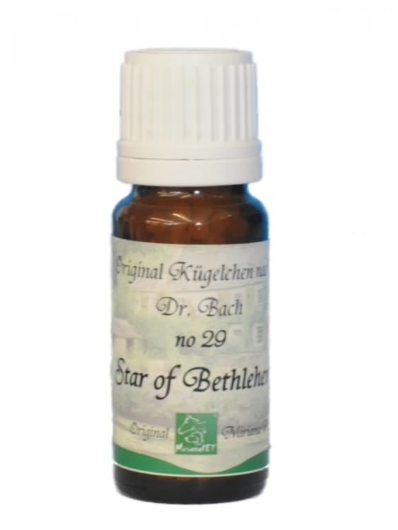 Bachblüten 29 Star of Bethlehem Globuli 10g