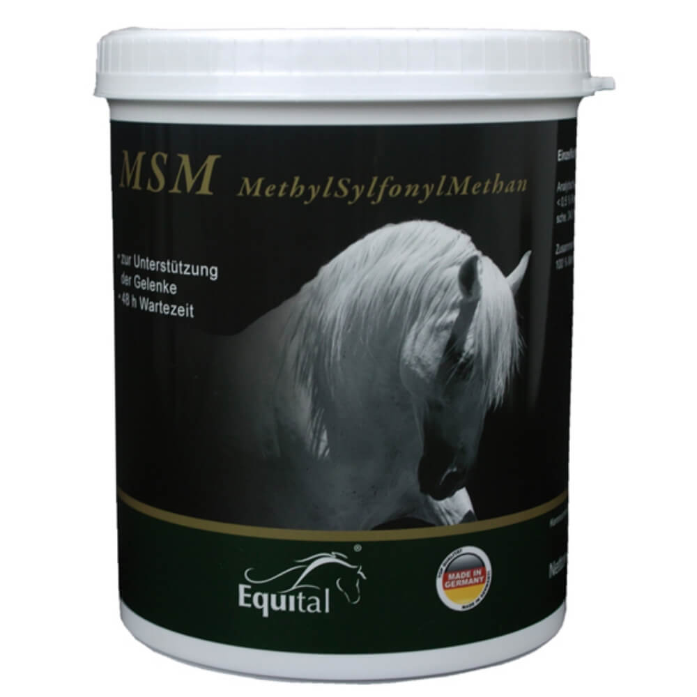 Equital MSM Pure Pulver 1kg