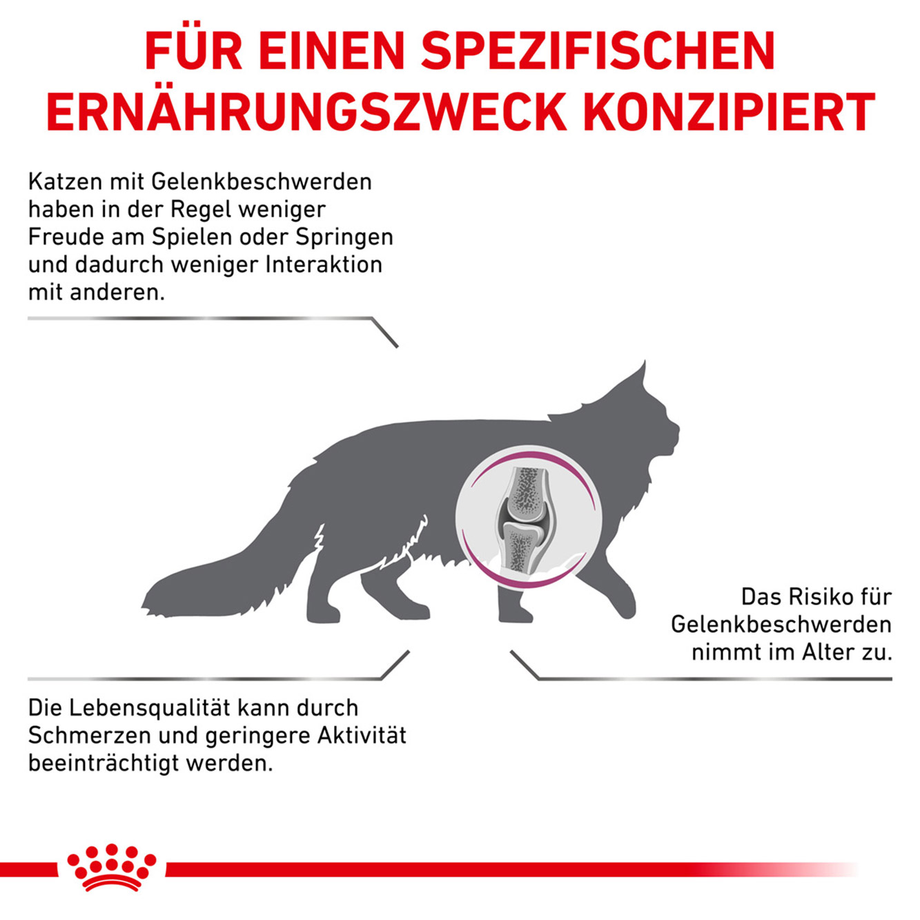 Royal Canin Katze Mobility