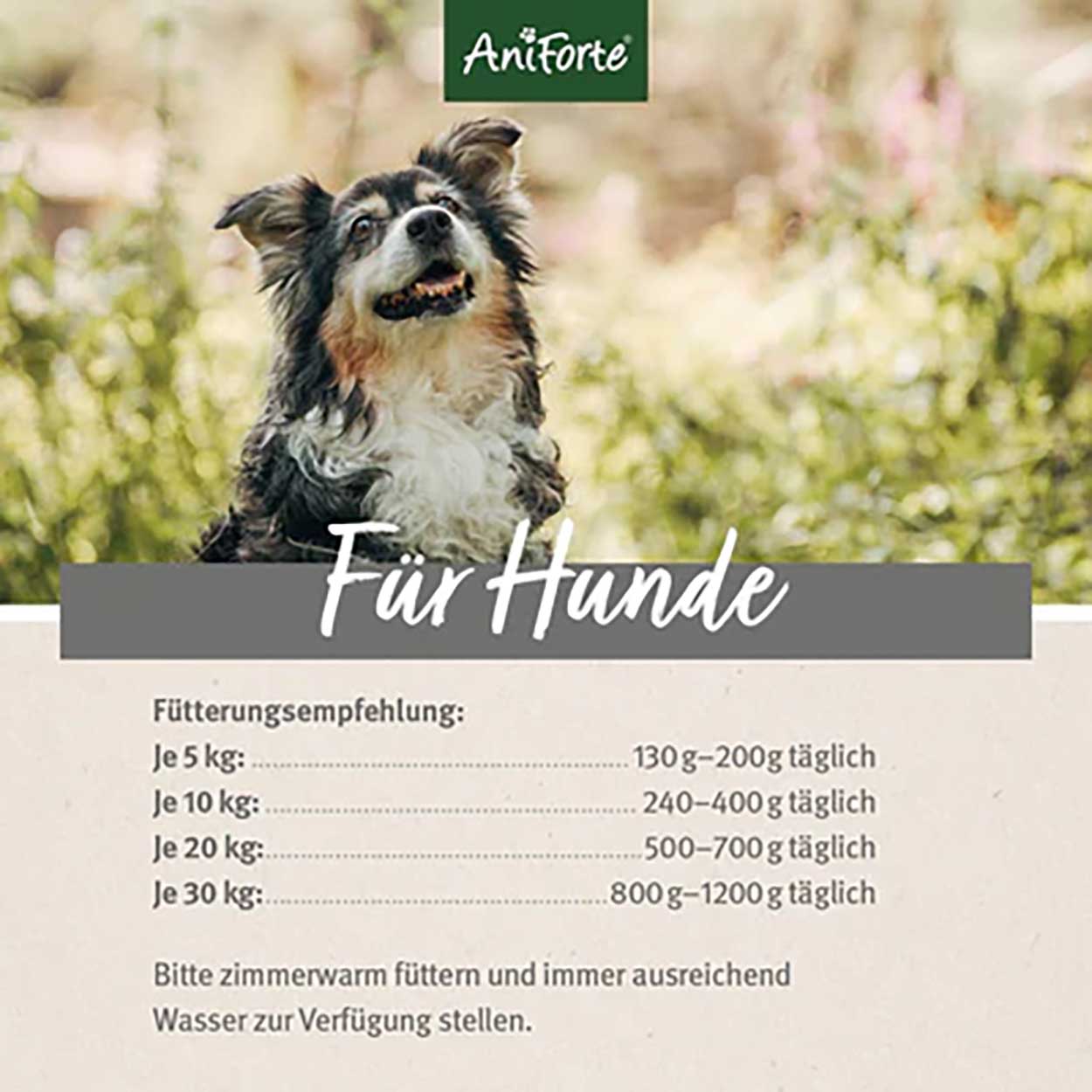 AniForte Pure Nature Senior Rind 6x400g