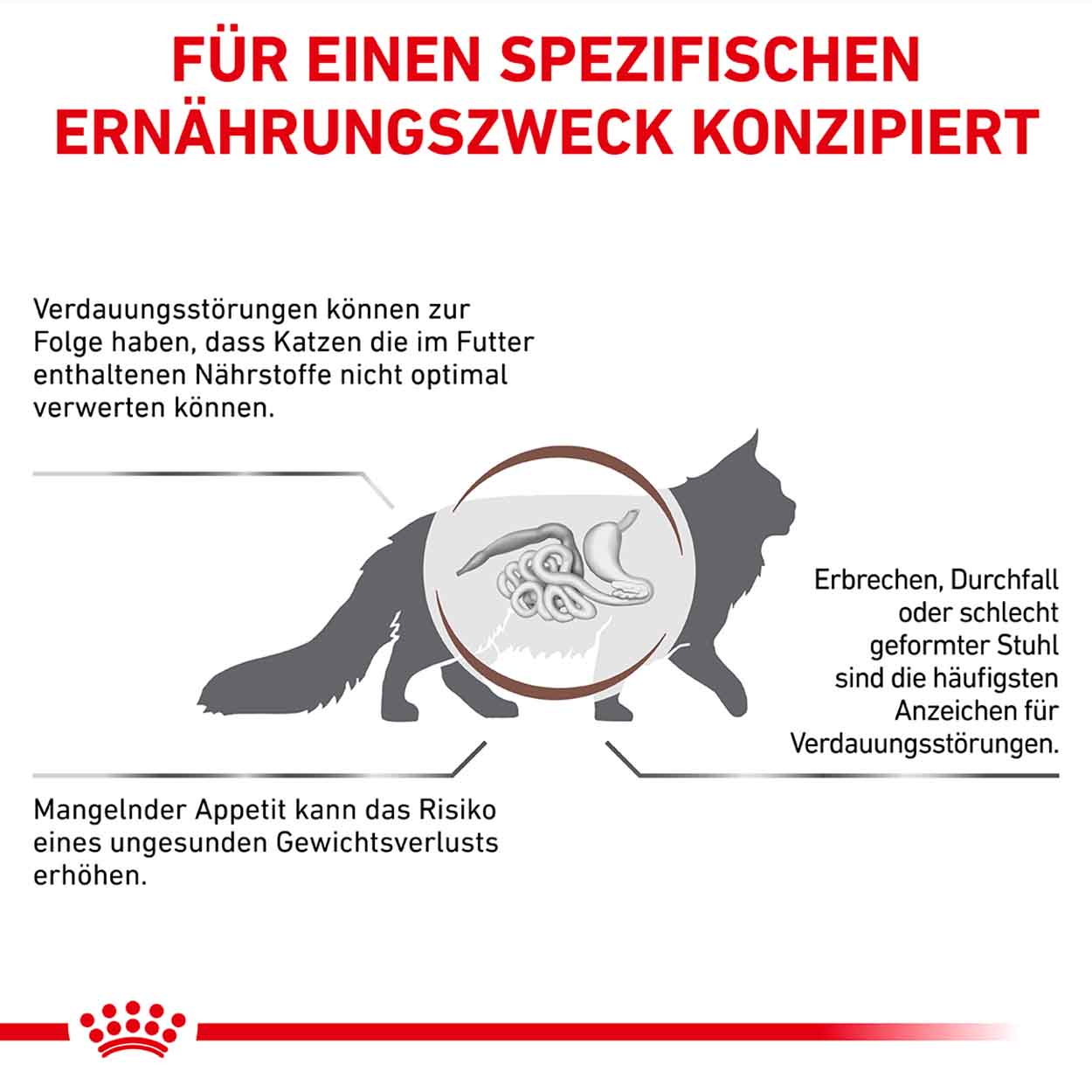 Royal Canin Katze GastroIntestinal