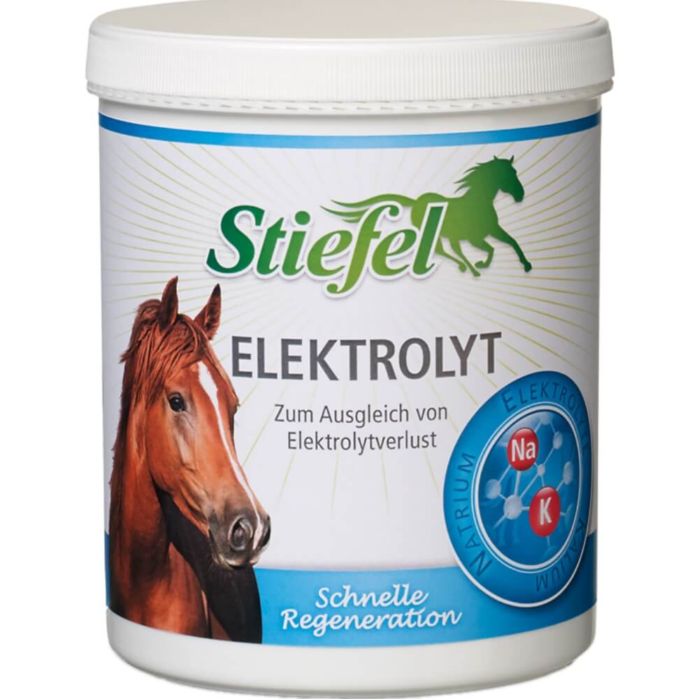 Stiefel Elektrolyt 1kg