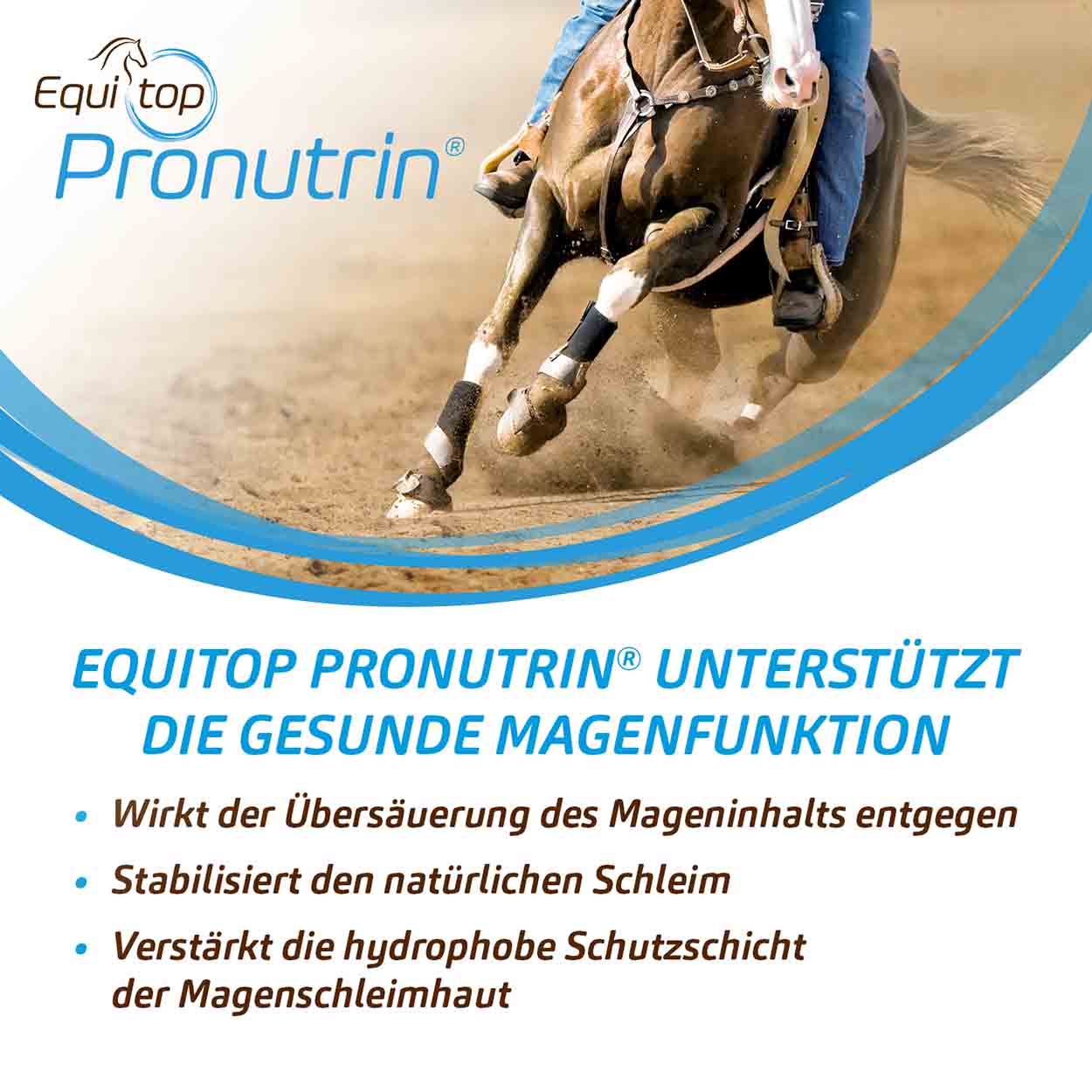 Equitop Pronutrin Pellets