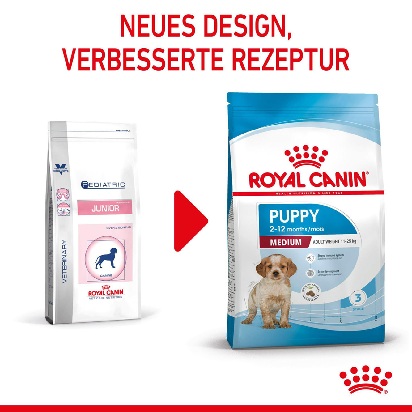 Royal Canin Hund Medium Puppy 15kg