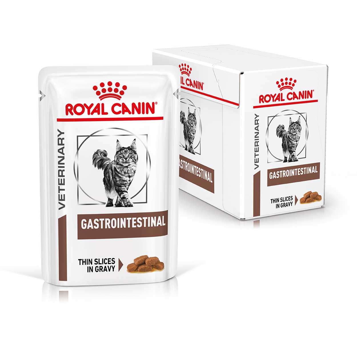 Royal Canin Katze GastroIntestinal 12x85g