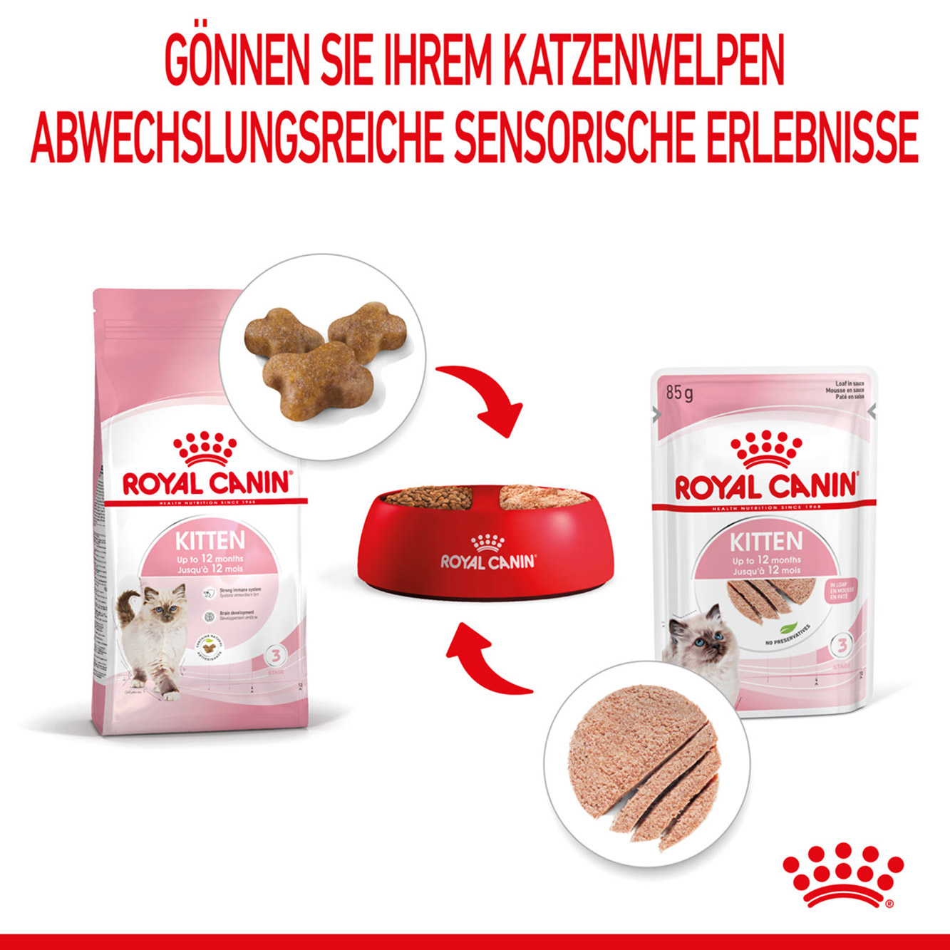 Royal Canin Katze Kitten Mousse 12x85g