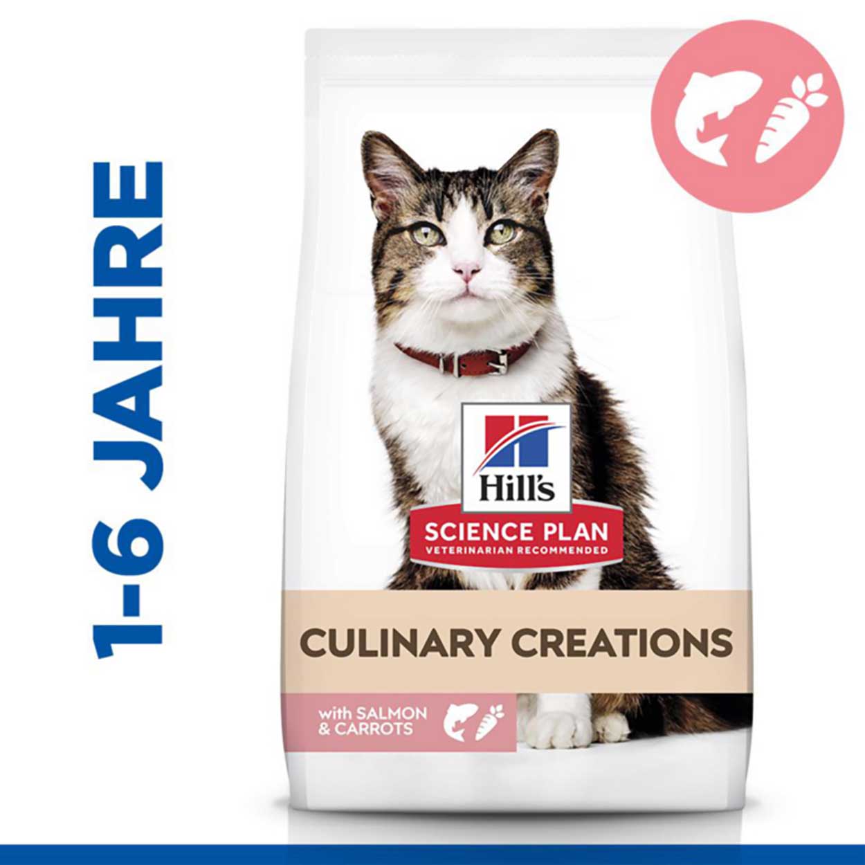 Hills Science Plan Culinary Creations  Katze Adult Lachs 10kg