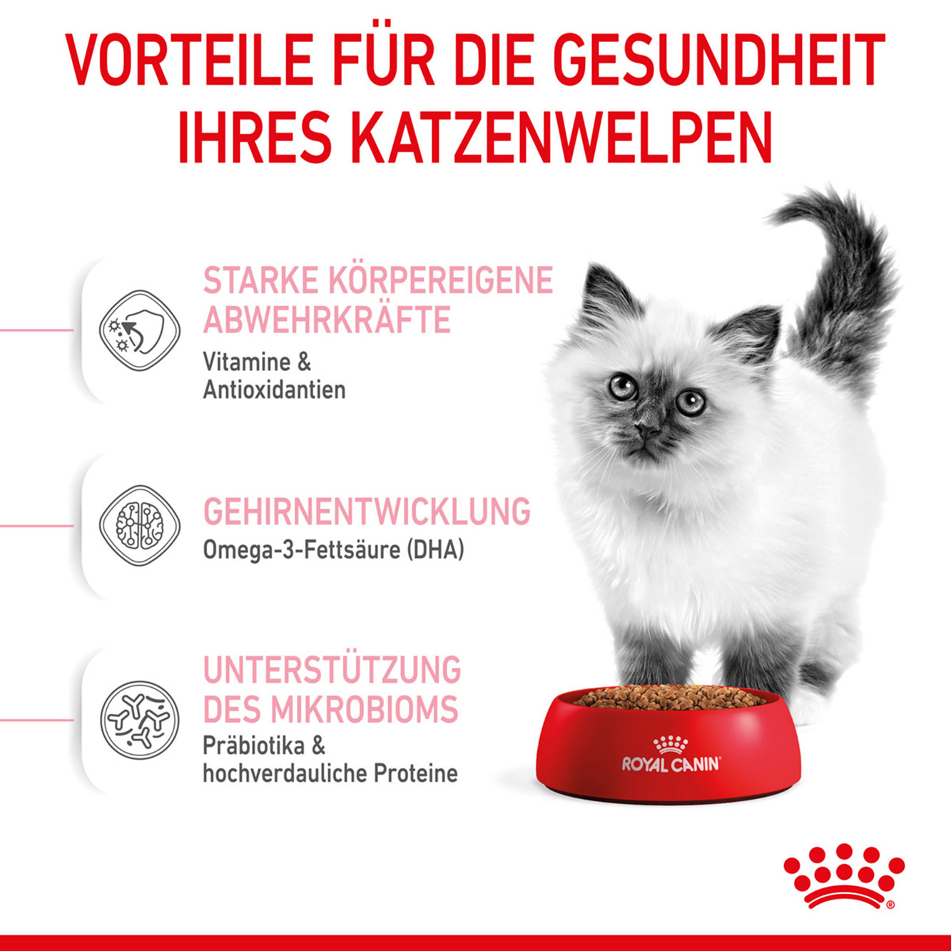 Royal Canin Katze Kitten 4kg