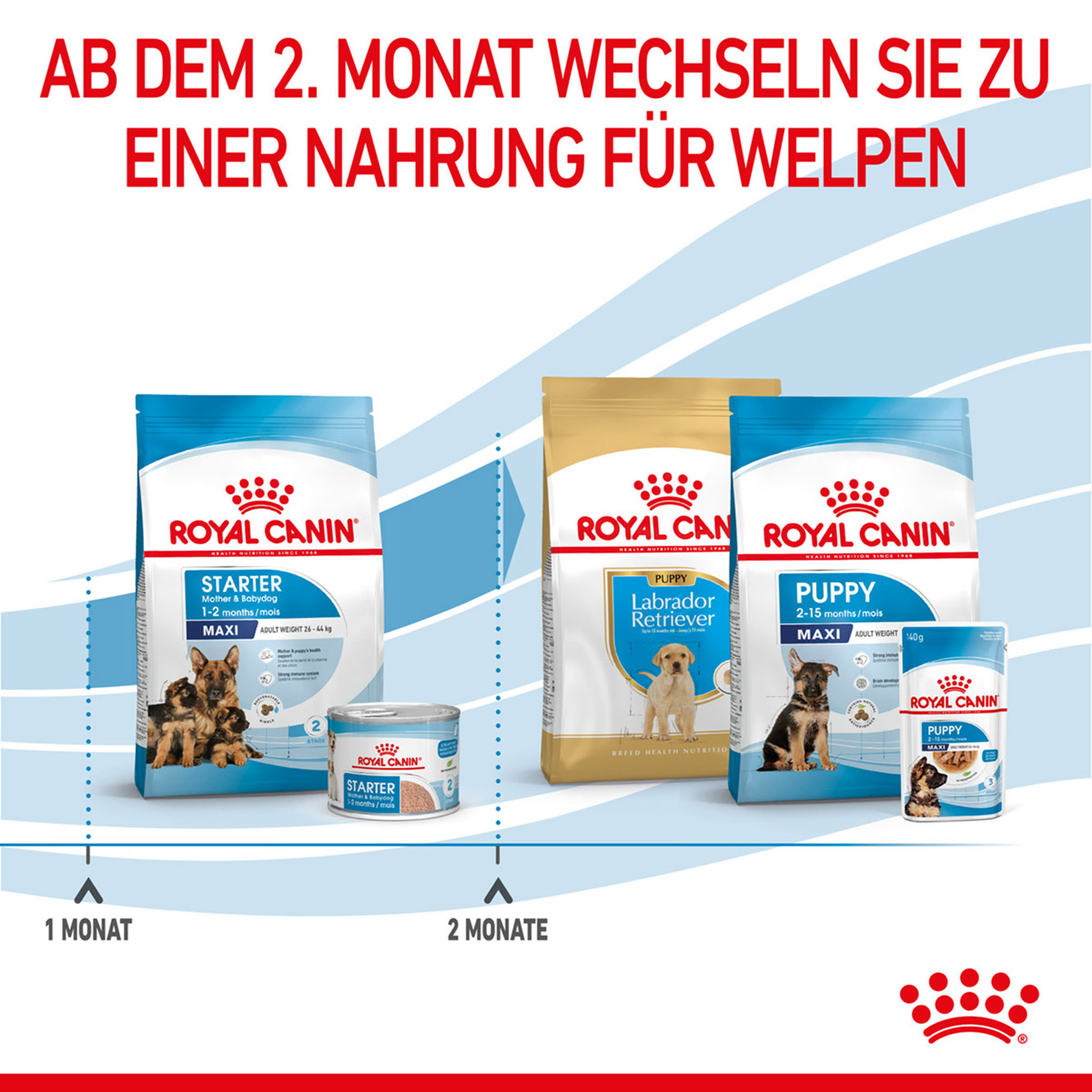 Royal Canin Hund Maxi Starter 15kg