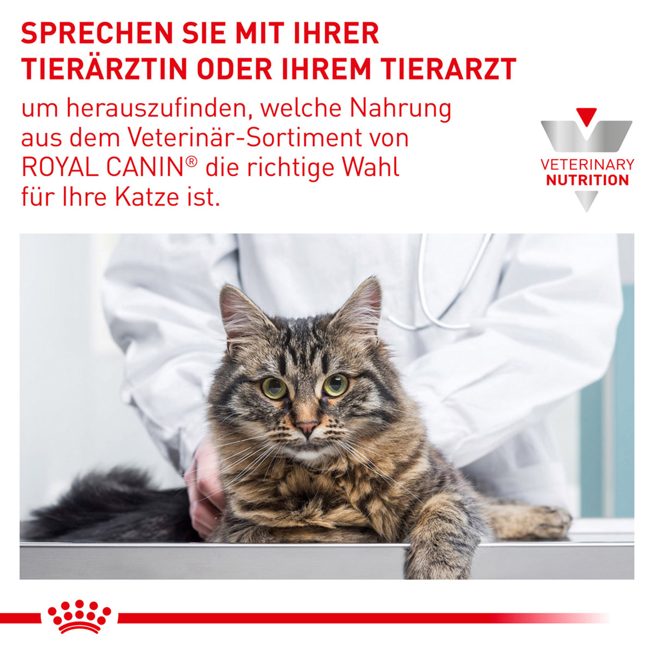 Royal Canin Katze Renal Select