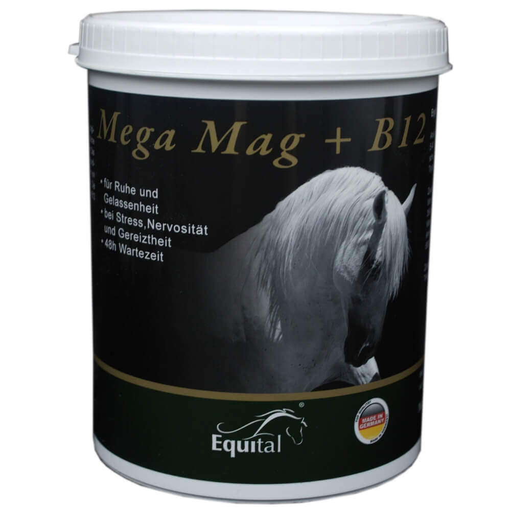 Equital Mega Mag B12 Pulver 1kg