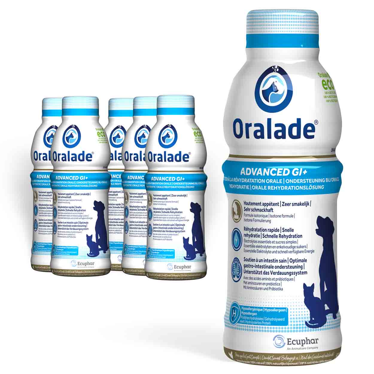 Oralade Advanced GI+ Hunde Katzen 6x500ml