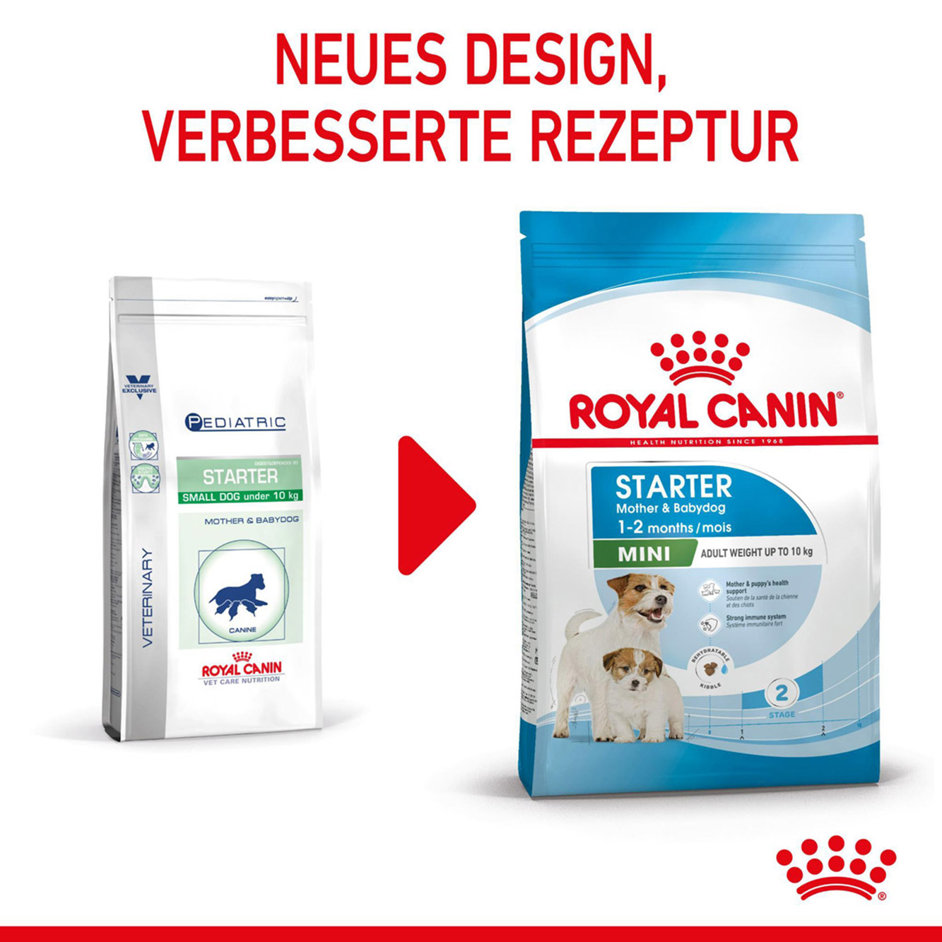 Royal Canin Hund Mini Starter 4kg