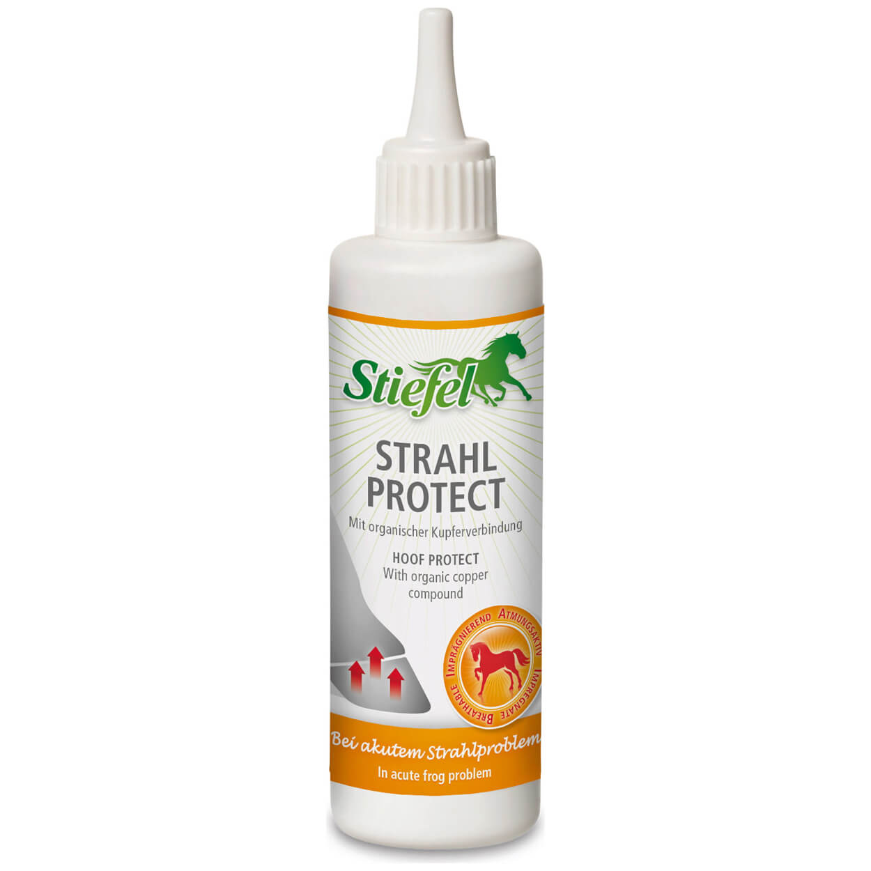 Stiefel Strahl Protect 125ml