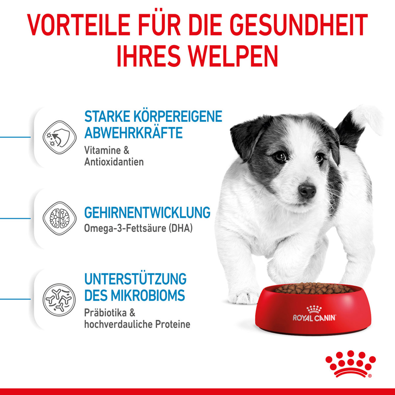 Royal Canin Hund Mini Puppy 2kg