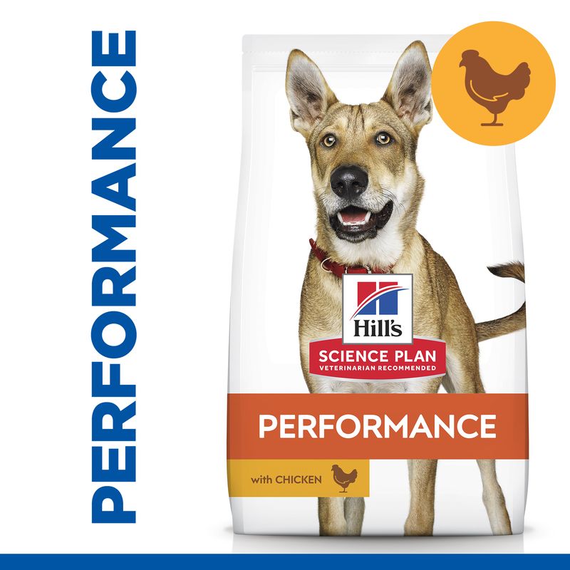 Hills Science Plan Hund Performance Adult Huhn 14kg