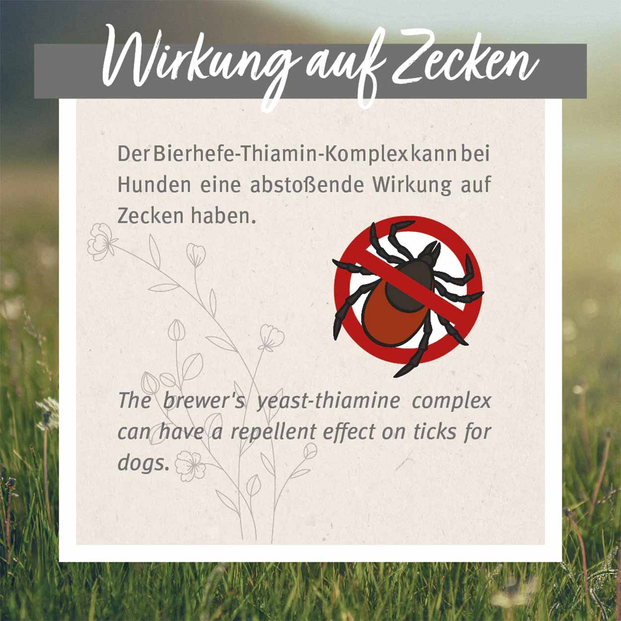 AniForte ZeckenSchild Hund