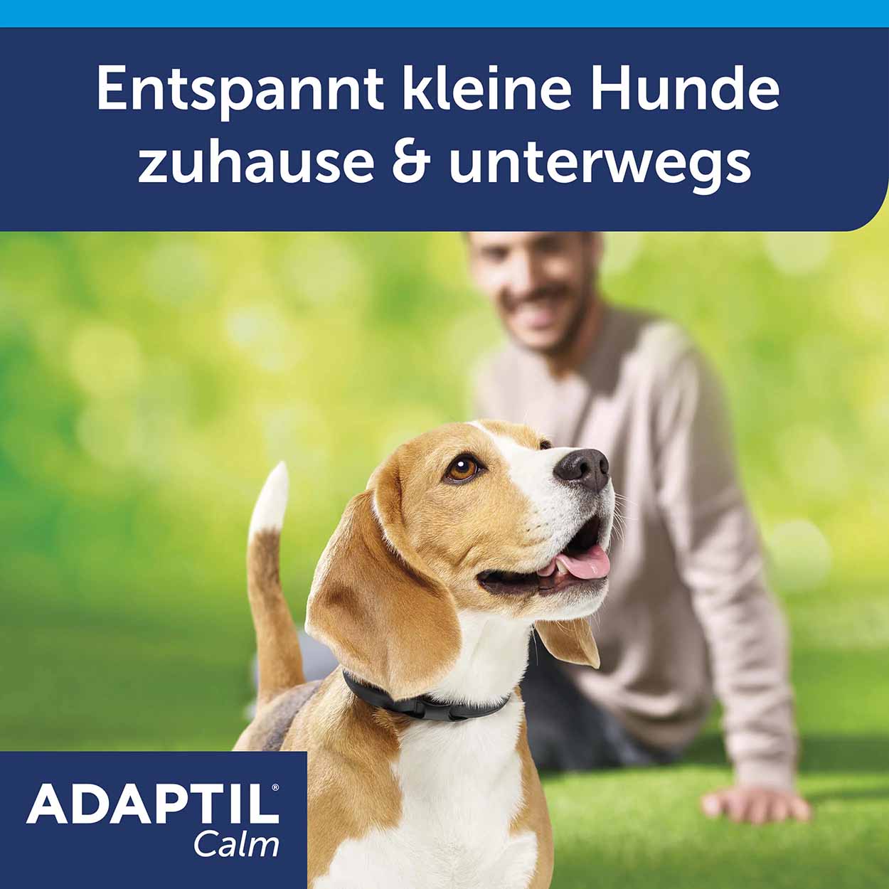 Adaptil Calm Halsband kleine Hunde 37cm