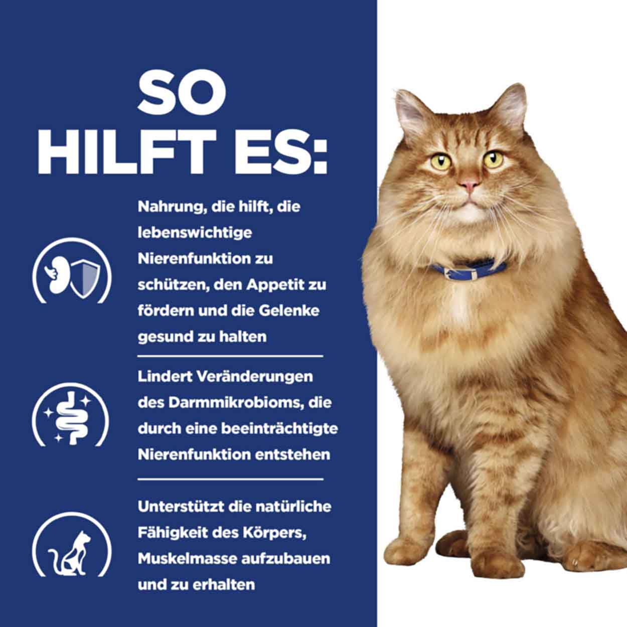 Hills Feline k/d + Mobility 3kg