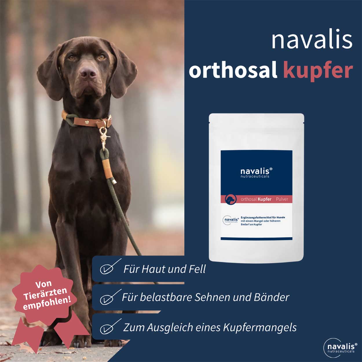 orthosal Kupfer Dog 150g