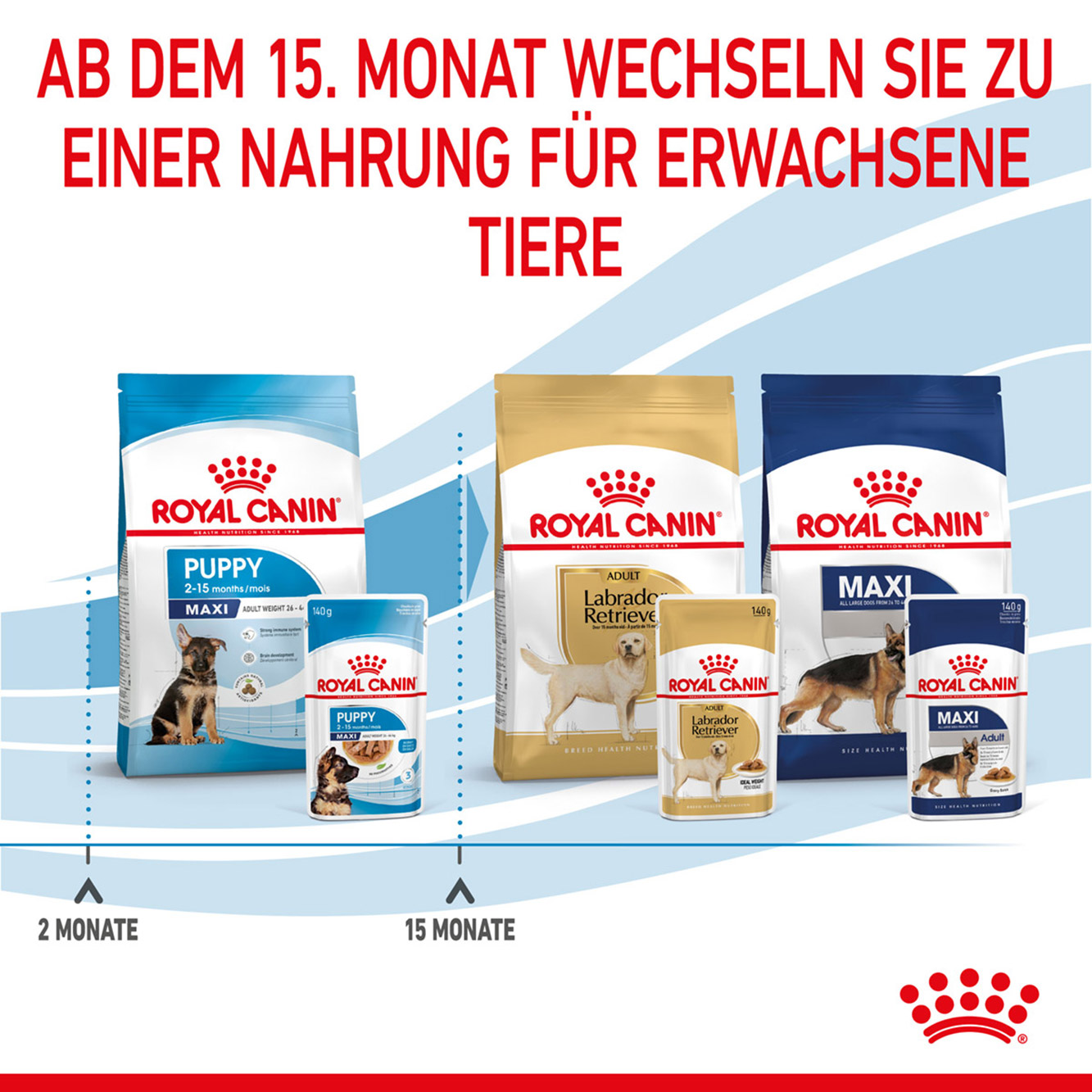 Royal Canin Hund Maxi Puppy 10x140g