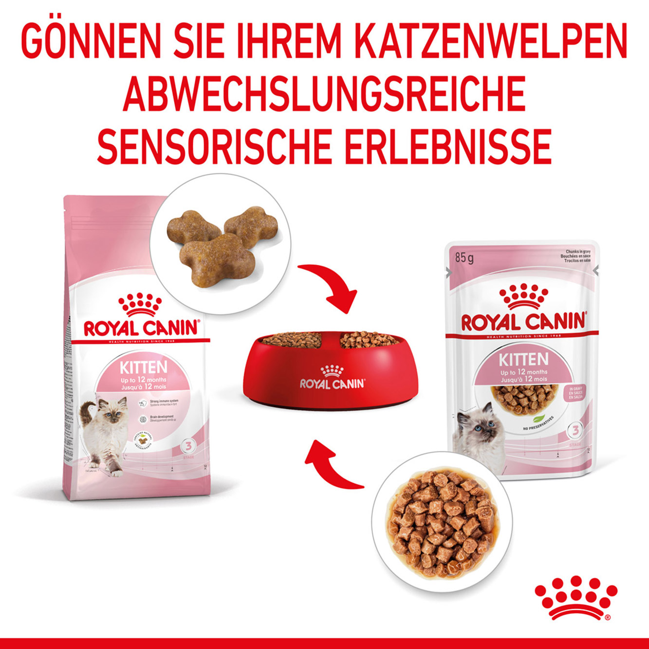 Royal Canin Katze Kitten Soße 12x85g