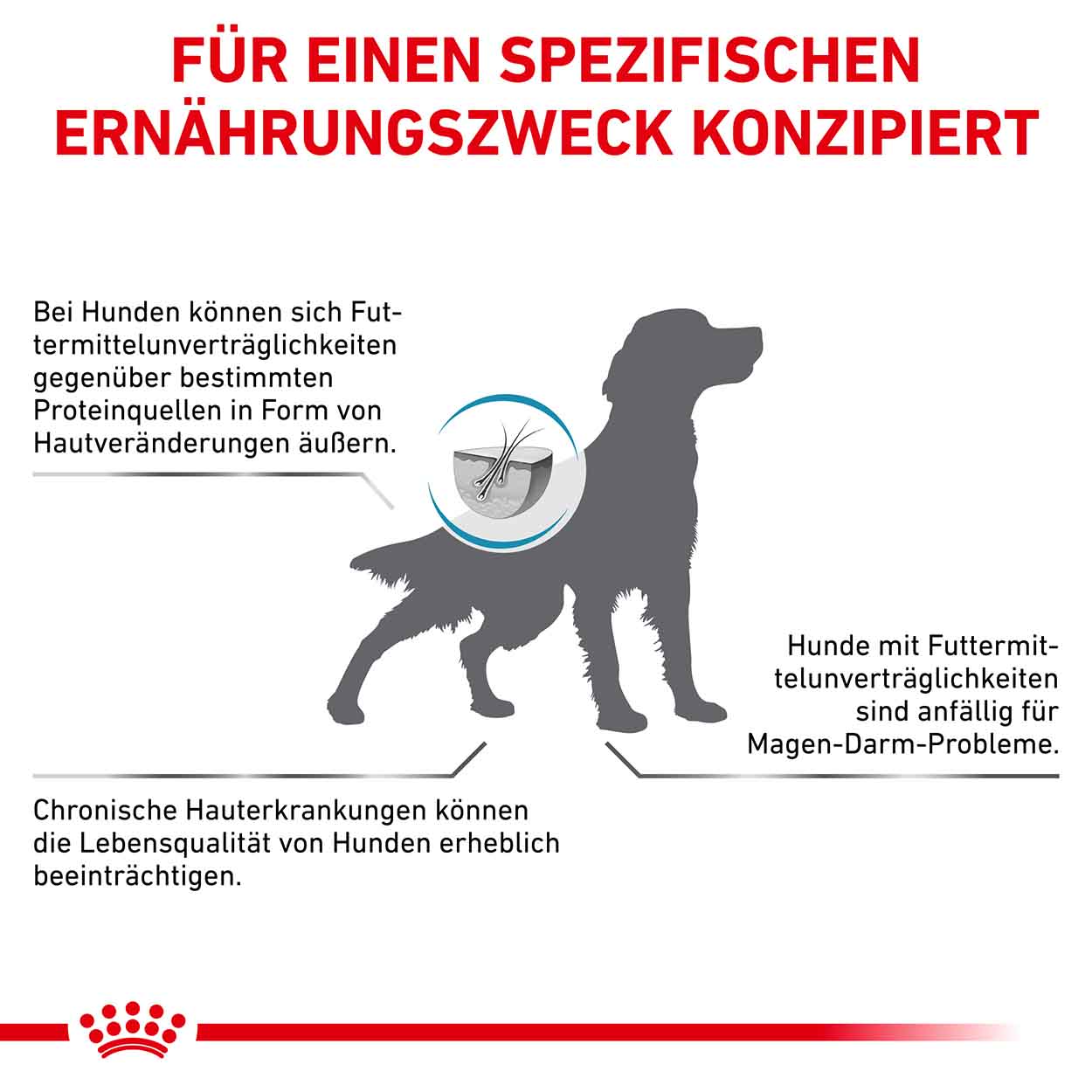 Royal Canin Hund hypoallergenic 2kg