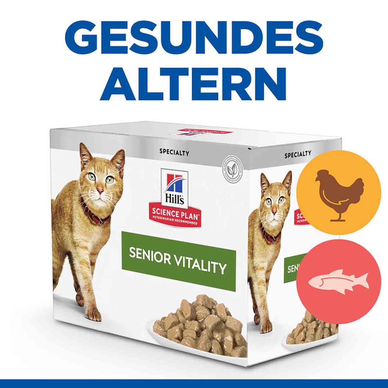 Hills Science Plan Katze Senior Vitality Mature Adult Huhn & Lachs 4x12x85g