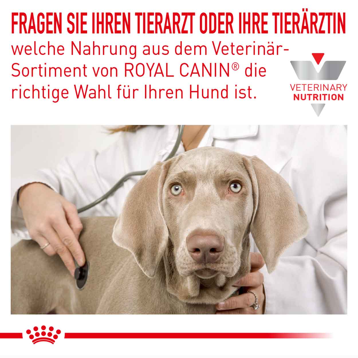 Royal Canin Hund hypoallergenic 2kg