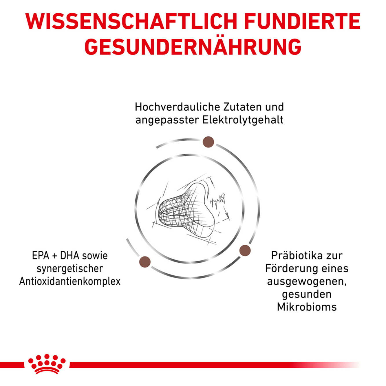 Royal Canin Katze GastroIntestinal Fibre Response