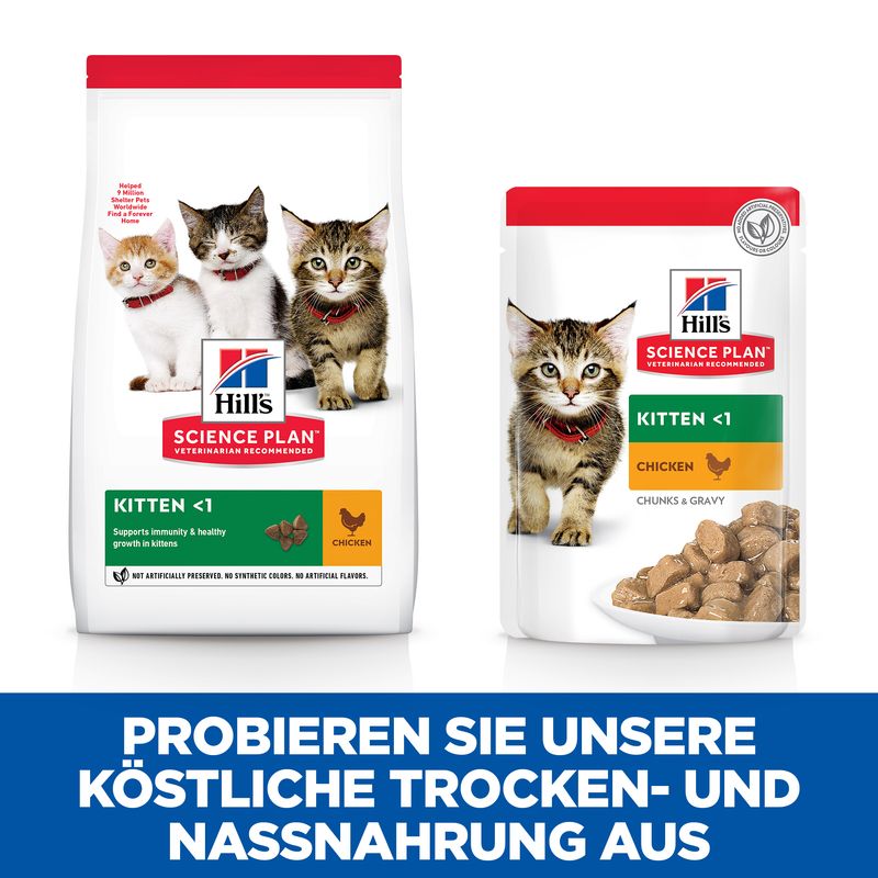 Hills Science Plan Katze Kitten Huhn 12x85g