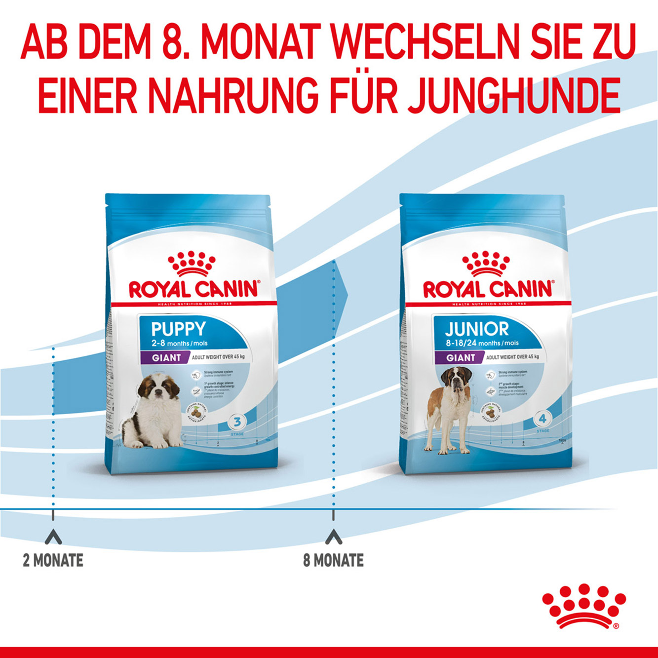 Royal Canin Hund Giant Puppy 3,5kg