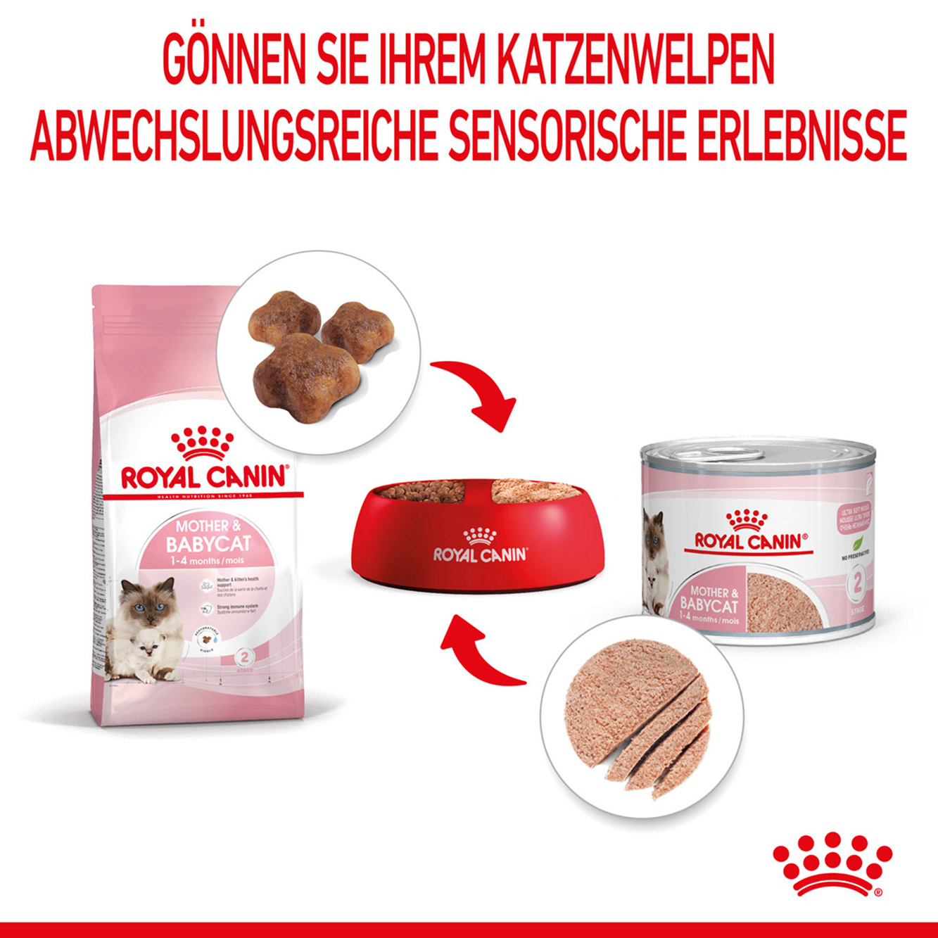 Royal Canin Katze Mother & Babycat Mousse 12x195g