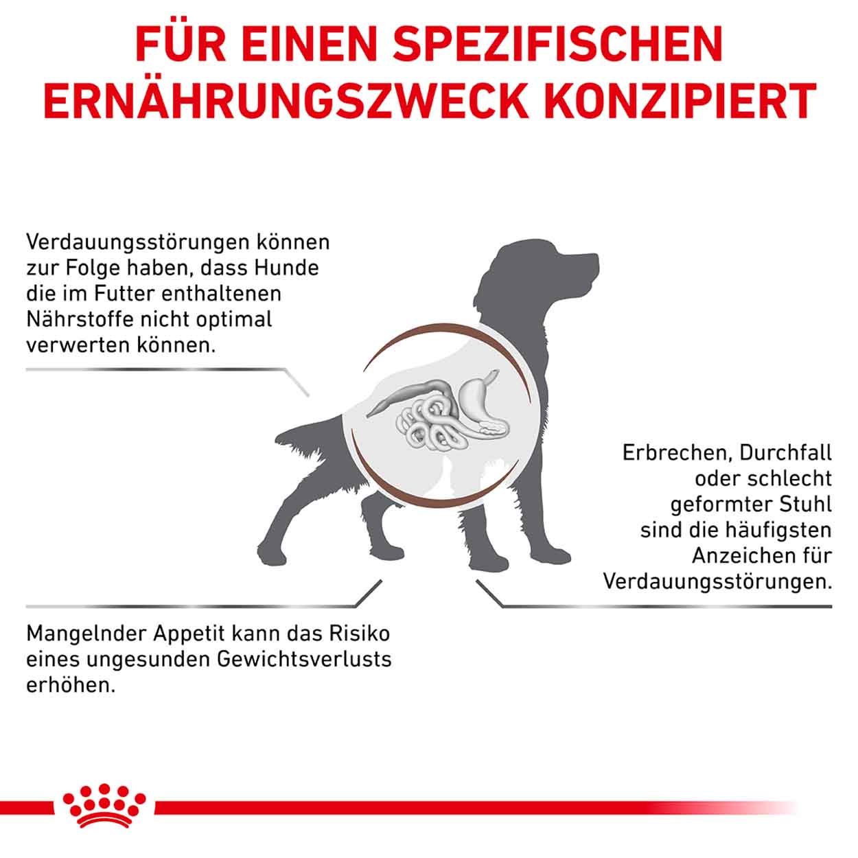 Royal Canin Hund GastroIntestinal 2kg