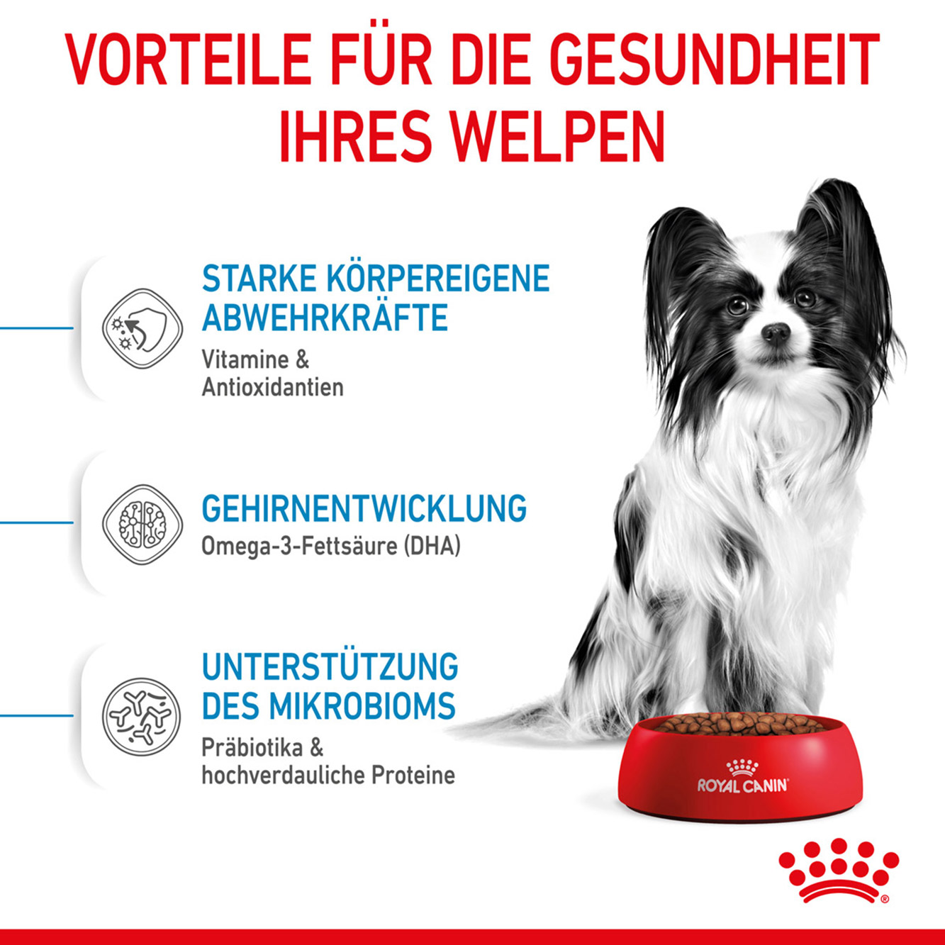 Royal Canin Hund X-Small Puppy 1,5kg