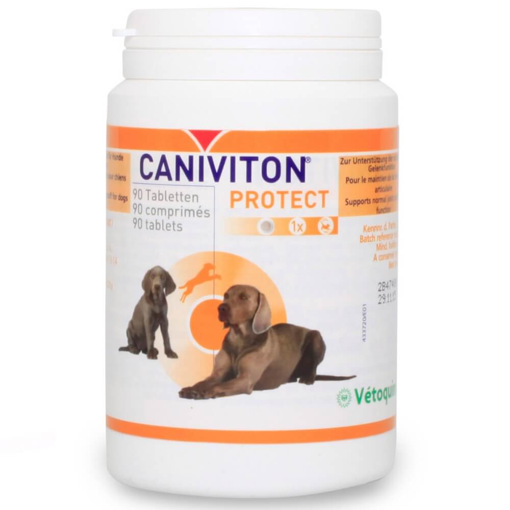 Caniviton Protect 90Tab