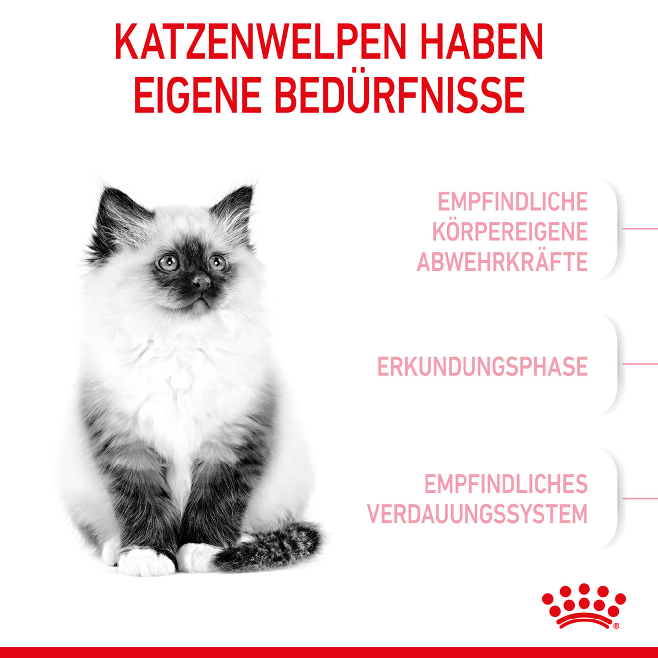 Royal Canin Katze Kitten 4kg