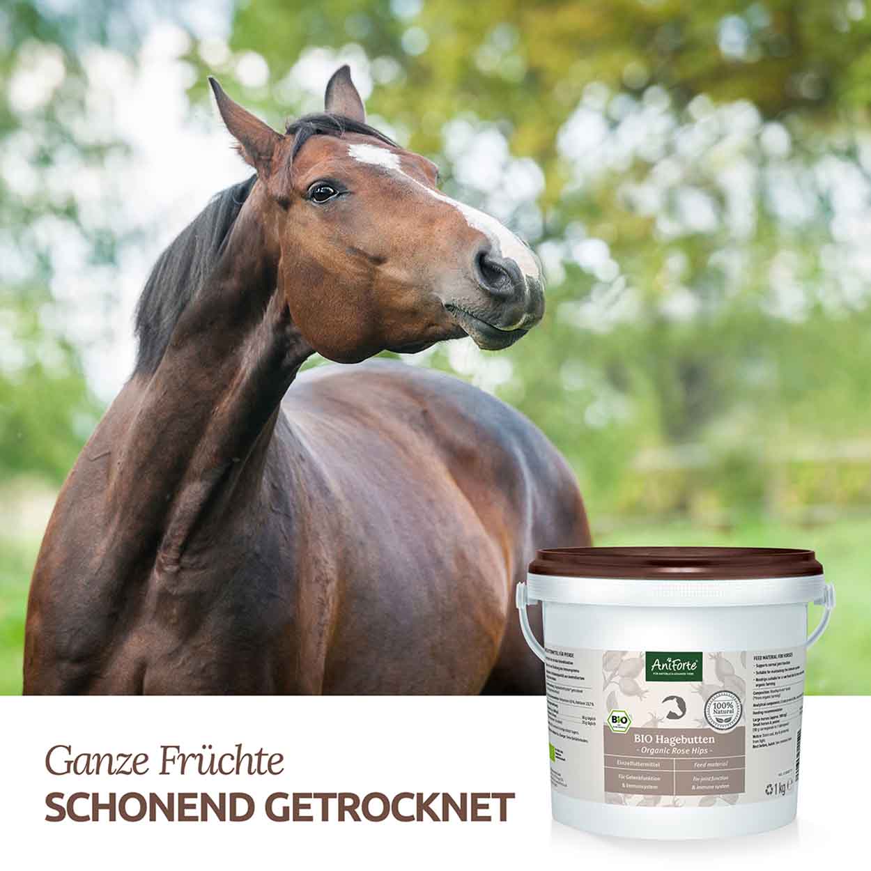 AniForte Pferd Hagebutten ganze Früchte 1kg