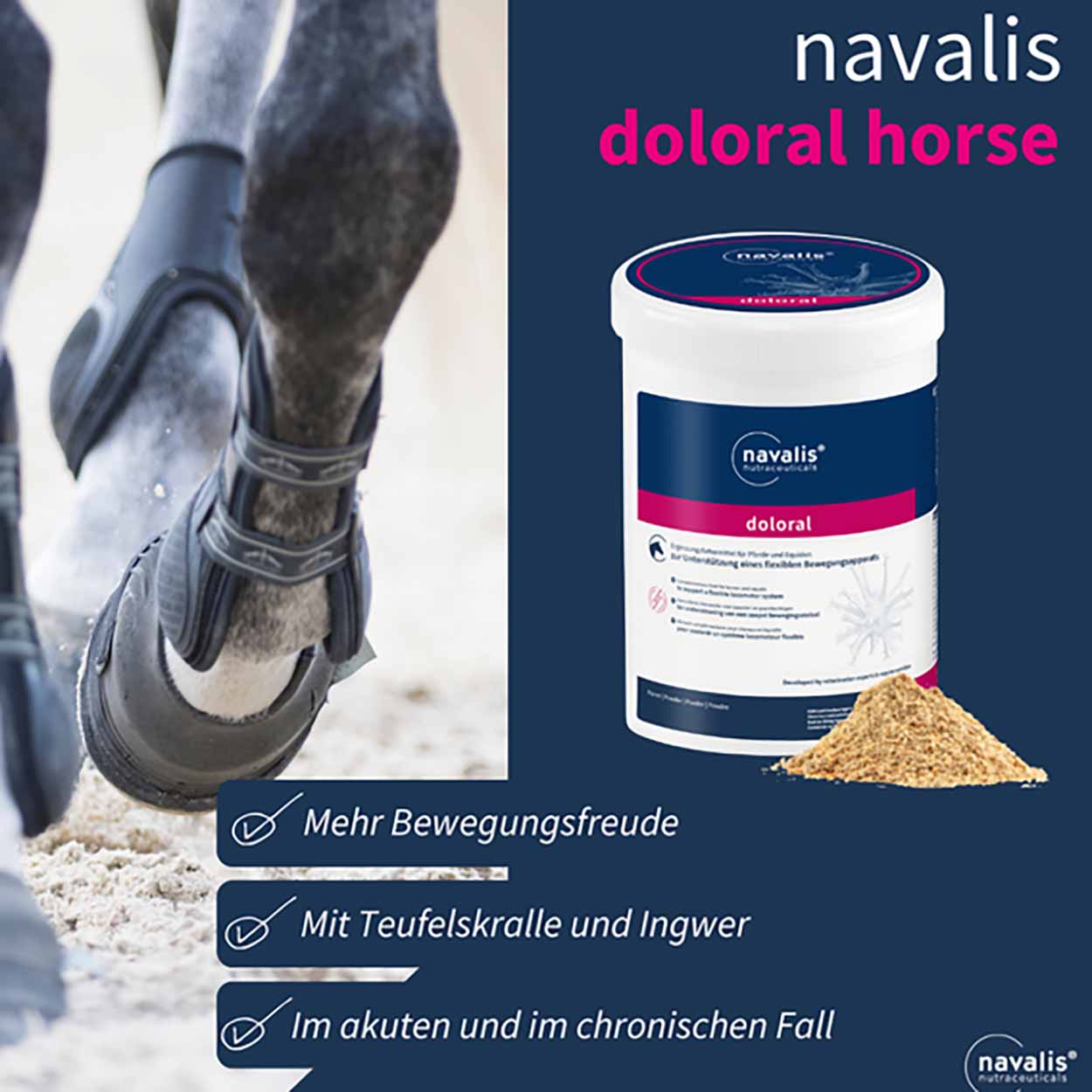 Doloral Horse 1kg