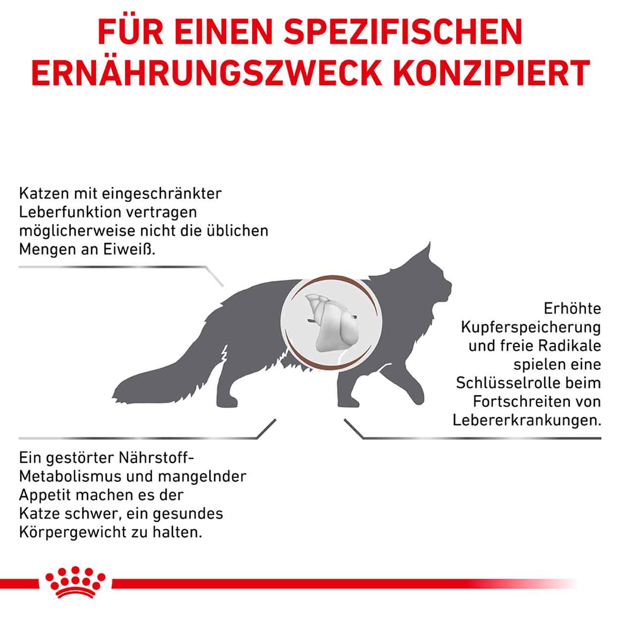 Royal Canin Katze Hepatic