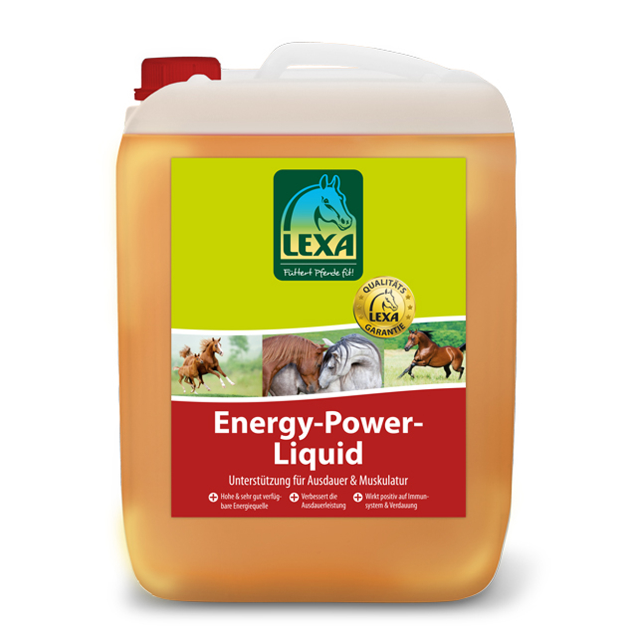 Lexa Energy-Power-Liquid