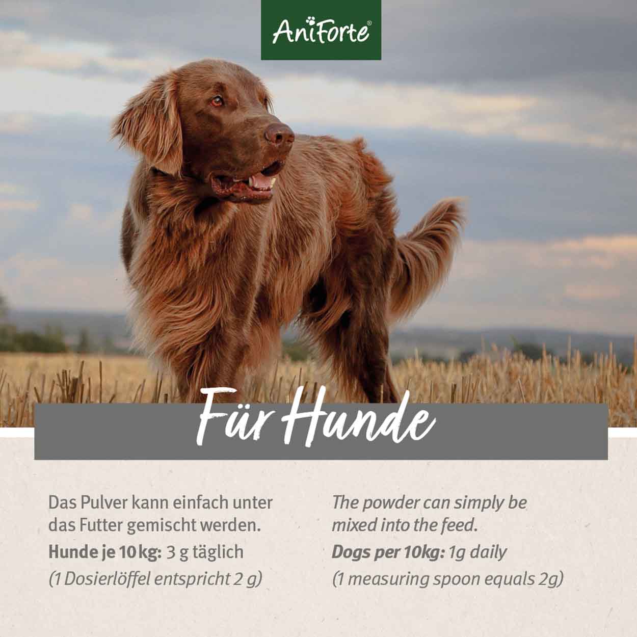 AniForte 4in1 Complete Dog 250g